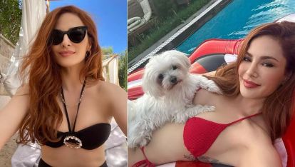 Mine Tugay'ın havuzda köpeğiyle verdiği poza yorum yağdı: "Bazen köpek olmak istersin..!"